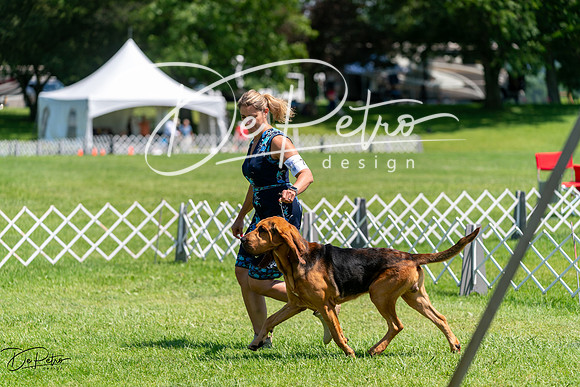 20240630-DSC01921