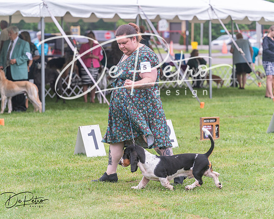 20250626-DSC04588