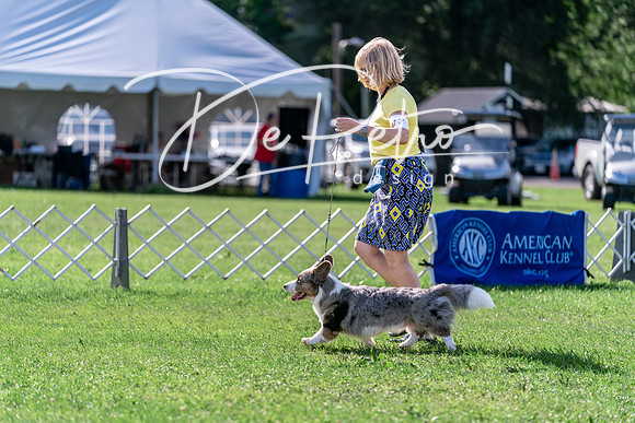 20240630-DSC04944