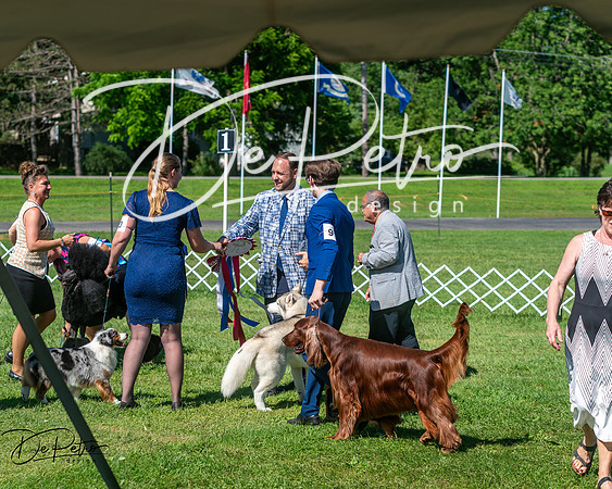 20250629-DSC01281