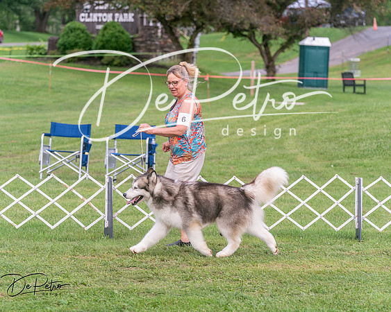 20250628-DSC08100