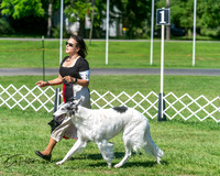 20250629-DSC01117