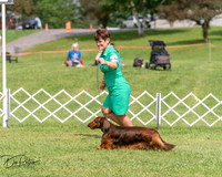 20250628-DSC08376