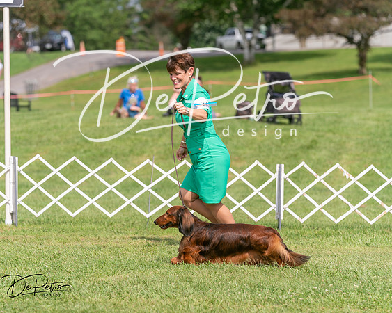 20250628-DSC08376