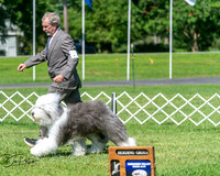 20250629-DSC00794