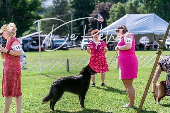 20240630-DSC04998