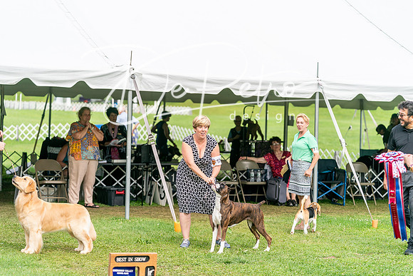 20240630-DSC05751