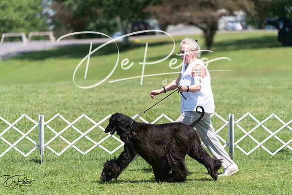 20240630-DSC01820