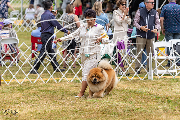 20220621-DSC05600