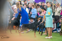 20260203-DSC09699