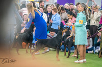 20260203-DSC09700