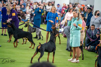 20260203-DSC09702