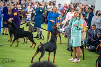 20260203-DSC09705