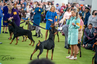 20260203-DSC09706