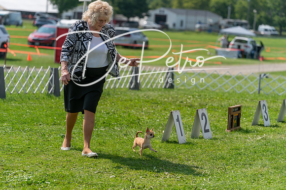 20240816-DSC00369