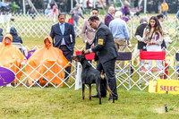 20220622-DSC00404