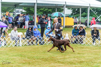 20220622-DSC00370