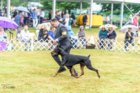 20220622-DSC00417
