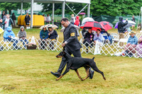 20220622-DSC00414