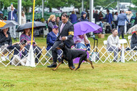 20220622-DSC00438