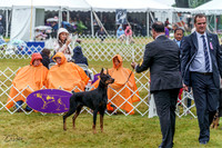 20220622-DSC00425