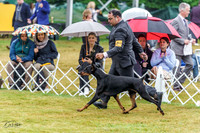 20220622-DSC00431