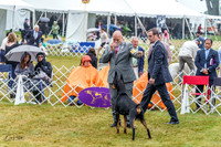 20220622-DSC00387