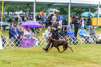 20220622-DSC00373