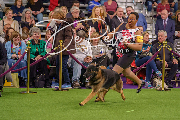 20190211-DSC07452