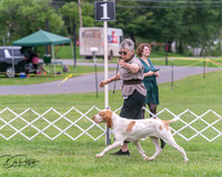 20250628-DSC07340