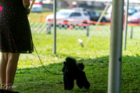 20240816-DSC00141