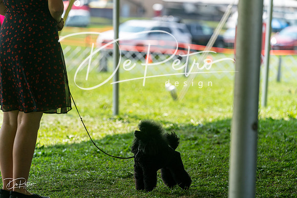 20240816-DSC00141