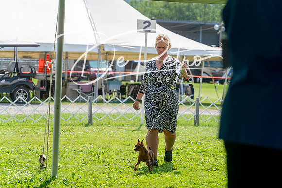 20240816-DSC00206