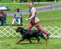 20250629-DSC09630