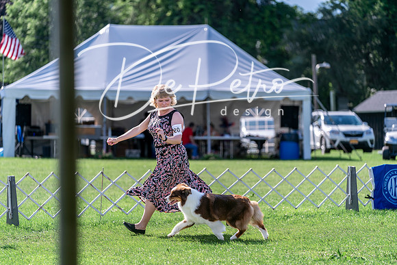 20240630-DSC04632