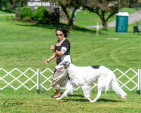 20250629-DSC01101