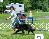20250629-DSC00766