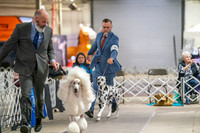 20260326-DSC02848