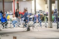 20260326-DSC02904