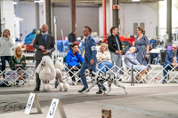 20260326-DSC02912