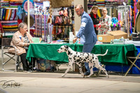 20260326-DSC02880