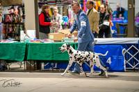 20260326-DSC02871