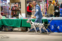 20260326-DSC02875