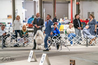 20260326-DSC02916