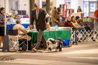 20260326-DSC02923