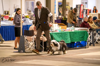20260326-DSC02930