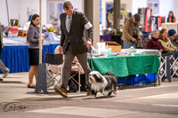 20260326-DSC02931