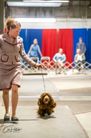 20260326-DSC03127