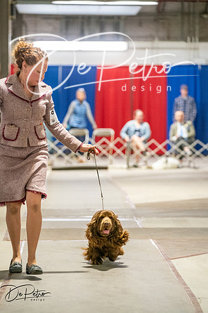 20260326-DSC03127
