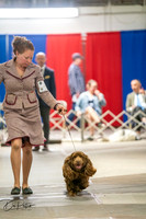 20260326-DSC03122